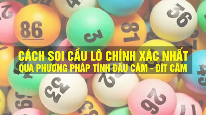 Phương pháp nuôi lô đầu câm đít câm trong 7 ngày lo-cam-la-gi