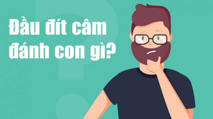 lo-cam-la-gi